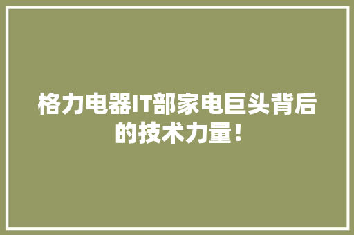 格力电器IT部家电巨头背后的技术力量！ 网站建设