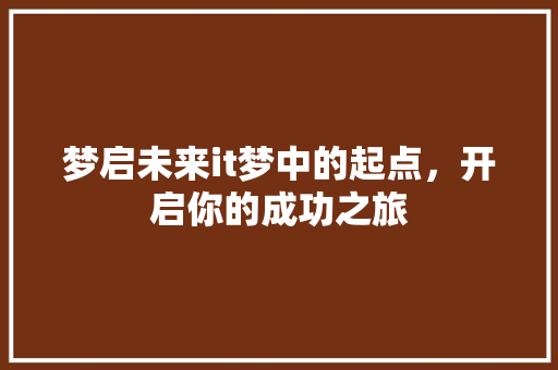 梦启未来it梦中的起点，开启你的成功之旅