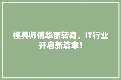 模具师傅华丽转身，IT行业开启新篇章！