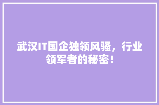 武汉IT国企独领风骚，行业领军者的秘密！ 前端技术