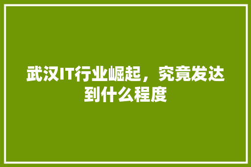 武汉IT行业崛起，究竟发达到什么程度 项目报告