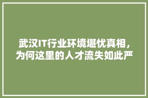 武汉IT行业环境堪忧真相，为何这里的人才流失如此严重！ MySQL