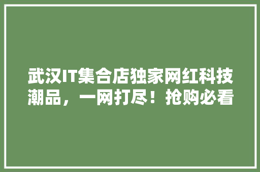 武汉IT集合店独家网红科技潮品，一网打尽！抢购必看！ 缓存Redis