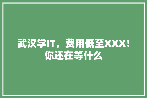 武汉学IT，费用低至XXX！你还在等什么 网站建设
