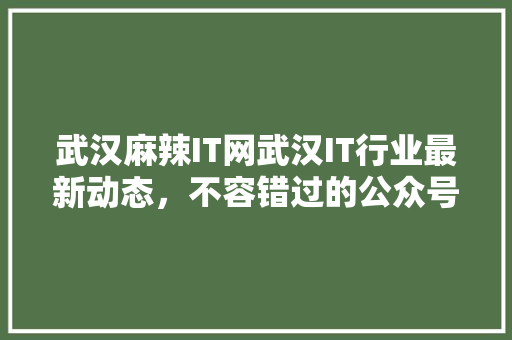 武汉麻辣IT网武汉IT行业最新动态，不容错过的公众号爆款！ 项目报告