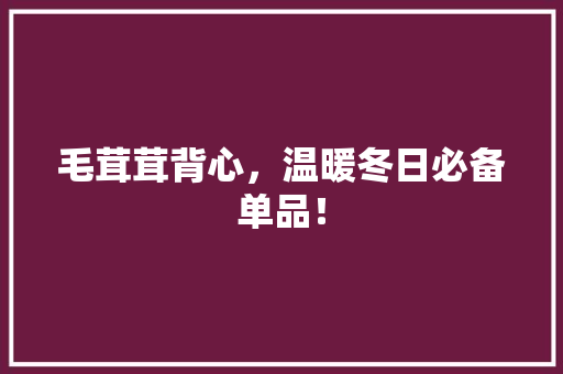 毛茸茸背心，温暖冬日必备单品！