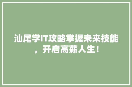 汕尾学IT攻略掌握未来技能，开启高薪人生！