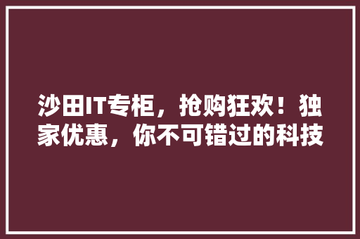 沙田IT专柜，抢购狂欢！独家优惠，你不可错过的科技盛宴！