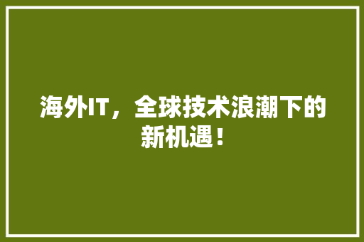 海外IT，全球技术浪潮下的新机遇！