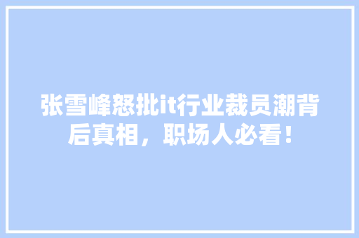 张雪峰怒批it行业裁员潮背后真相，职场人必看！ 项目报告