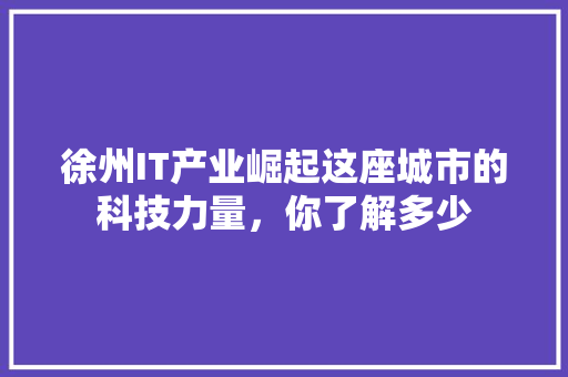 徐州IT产业崛起这座城市的科技力量，你了解多少