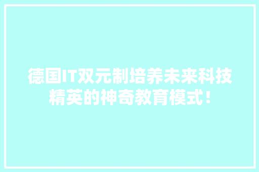 德国IT双元制培养未来科技精英的神奇教育模式！ 市场营销范文