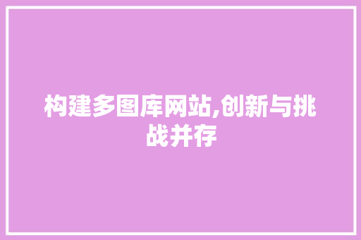 构建多图库网站,创新与挑战并存 网站建设