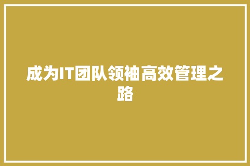 成为IT团队领袖高效管理之路 网站建设