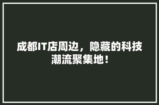 成都IT店周边，隐藏的科技潮流聚集地！ 缓存Redis