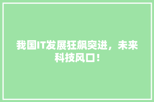 我国IT发展狂飙突进，未来科技风口！ 后端技术