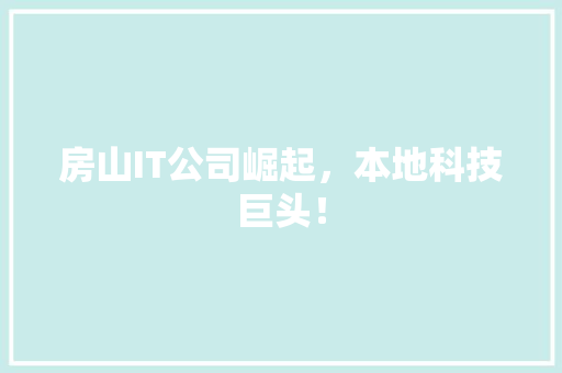 房山IT公司崛起，本地科技巨头！