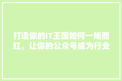 打造你的IT王国如何一炮而红，让你的公众号成为行业爆款！