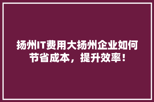 扬州IT费用大扬州企业如何节省成本，提升效率！