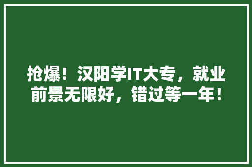 抢爆！汉阳学IT大专，就业前景无限好，错过等一年！