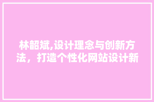 林韶斌,设计理念与创新方法，打造个性化网站设计新标杆 前端技术