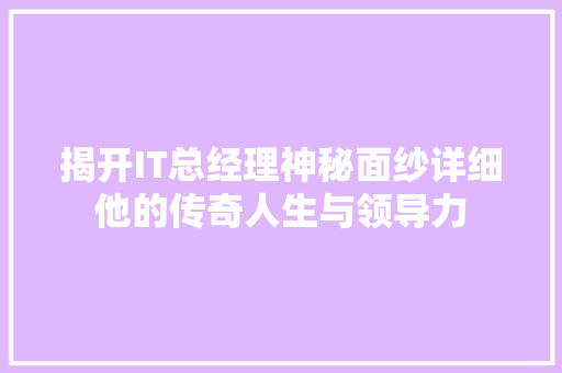 揭开IT总经理神秘面纱详细他的传奇人生与领导力