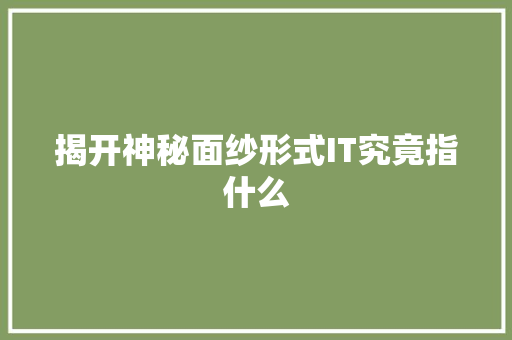 揭开神秘面纱形式IT究竟指什么 项目报告
