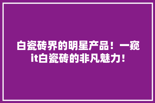白瓷砖界的明星产品！一窥it白瓷砖的非凡魅力！