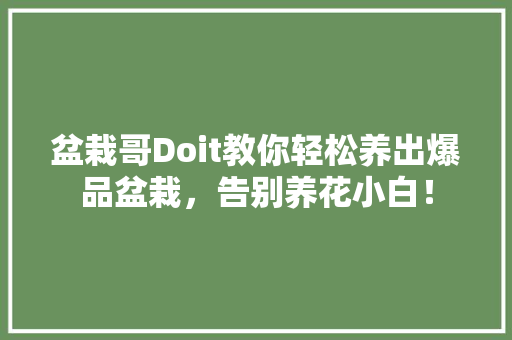 盆栽哥Doit教你轻松养出爆品盆栽，告别养花小白！