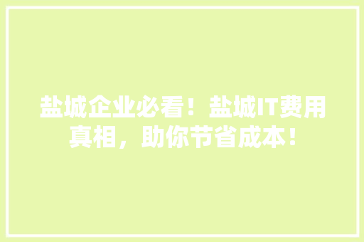 盐城企业必看！盐城IT费用真相，助你节省成本！ 网站建设