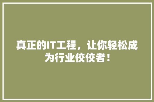 真正的IT工程，让你轻松成为行业佼佼者！