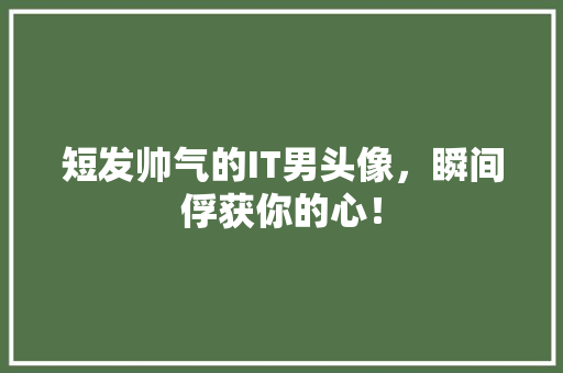 短发帅气的IT男头像，瞬间俘获你的心！