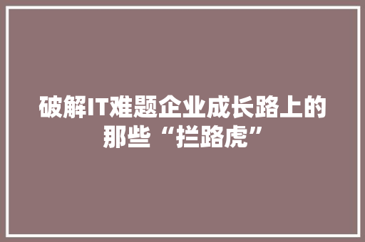 破解IT难题企业成长路上的那些“拦路虎”