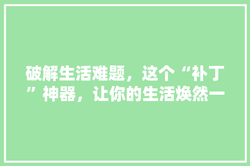 破解生活难题，这个“补丁”神器，让你的生活焕然一新！ 商务信函