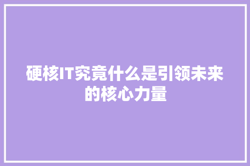 硬核IT究竟什么是引领未来的核心力量 项目报告