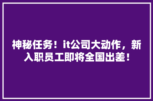 神秘任务！it公司大动作，新入职员工即将全国出差！