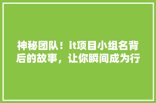 神秘团队！it项目小组名背后的故事，让你瞬间成为行业高手 前端技术