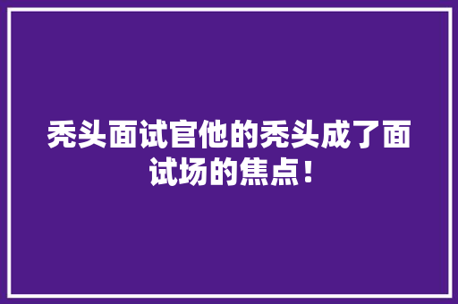 秃头面试官他的秃头成了面试场的焦点！