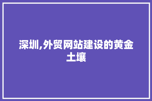 深圳,外贸网站建设的黄金土壤 商务信函