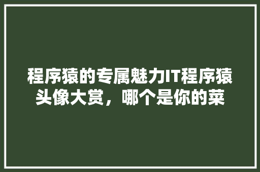 程序猿的专属魅力IT程序猿头像大赏，哪个是你的菜 前端技术
