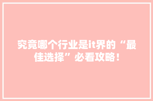 究竟哪个行业是it界的“最佳选择”必看攻略！ 项目报告
