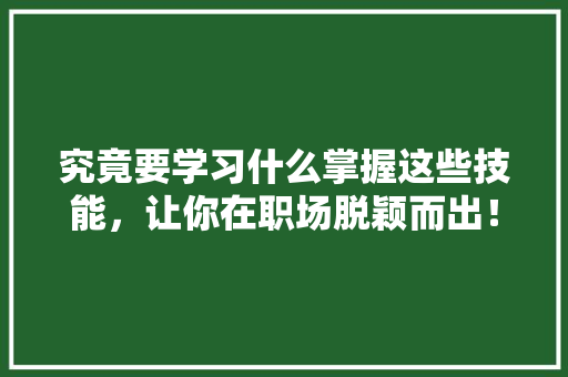 究竟要学习什么掌握这些技能，让你在职场脱颖而出！ 前端技术