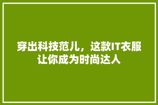 穿出科技范儿，这款IT衣服让你成为时尚达人 项目报告