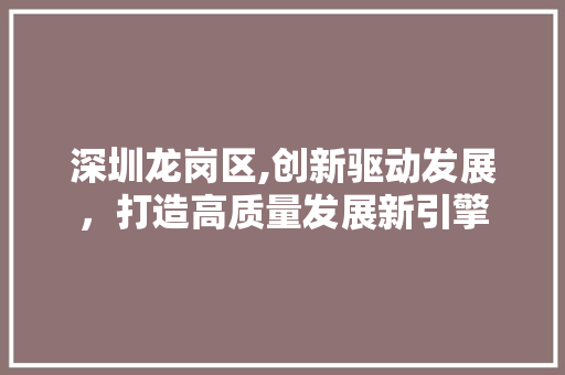 深圳龙岗区,创新驱动发展，打造高质量发展新引擎