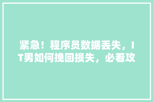 紧急！程序员数据丢失，IT男如何挽回损失，必看攻略！ 前端技术