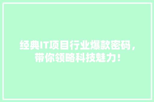 经典IT项目行业爆款密码，带你领略科技魅力！ 项目报告