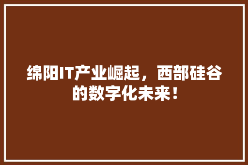 绵阳IT产业崛起，西部硅谷的数字化未来！ 项目报告