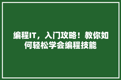编程IT，入门攻略！教你如何轻松学会编程技能 网站建设