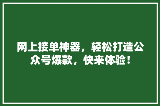 网上接单神器，轻松打造公众号爆款，快来体验！ 项目报告