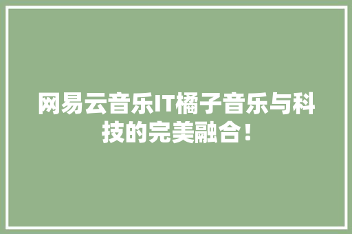 网易云音乐IT橘子音乐与科技的完美融合！